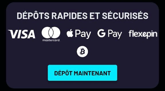 Solutions de paiement sûres et pratiques chez ShinyWilds